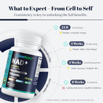 Timeline infographic showing AbinoNutra NAD+ capsules effects: 24H activation (steady energy), 2 weeks awakening (deeper sleep), 4 weeks transformation (faster recovery), 8 weeks evolution (youthful resilience).