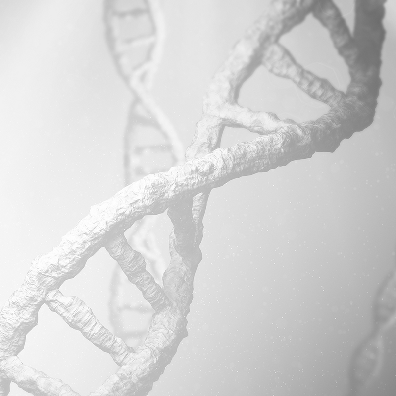 Effective NAD+ support requires the right approach
