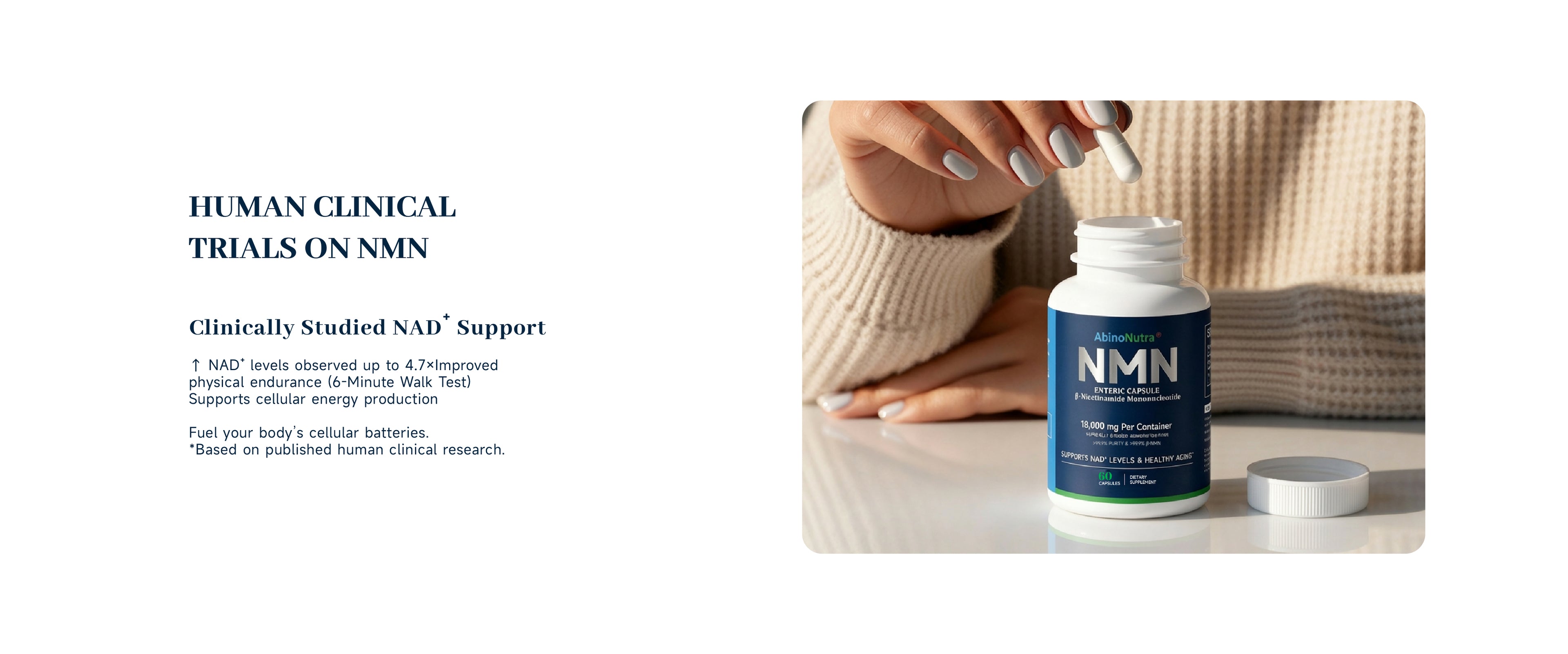 HUMAN CLINICAL TRIALS ON NMN.
Clinically Studied NAD' Support.