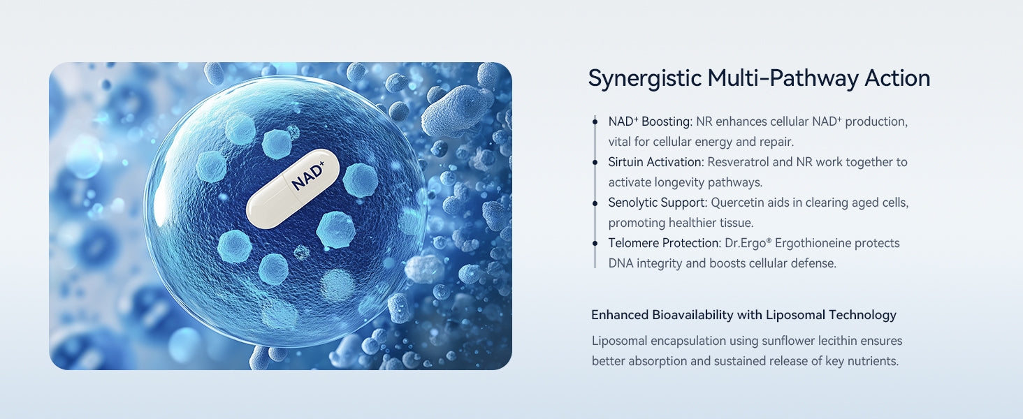 Synergistic Multi-Pathway Action