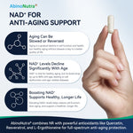 Visual explaining boosting NAD+ supports healthy, longer life by restoring cell function and slowing aging processes at the cellular level.